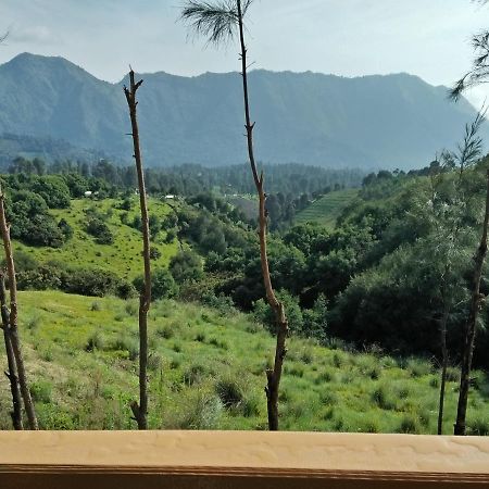 Lava View Lodge Bromo Exterior photo